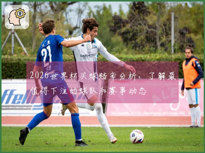 2026世界杯买球赔率分析，了解最值得下注的球队和赛事动态