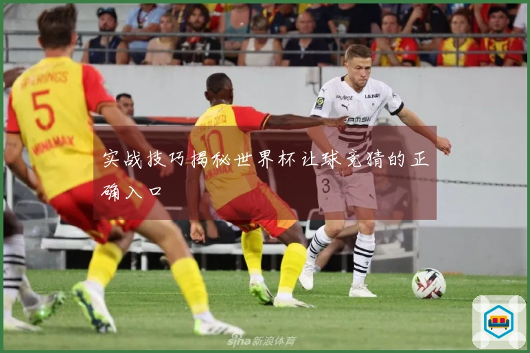 实战技巧揭秘世界杯让球竞猜的正确入口