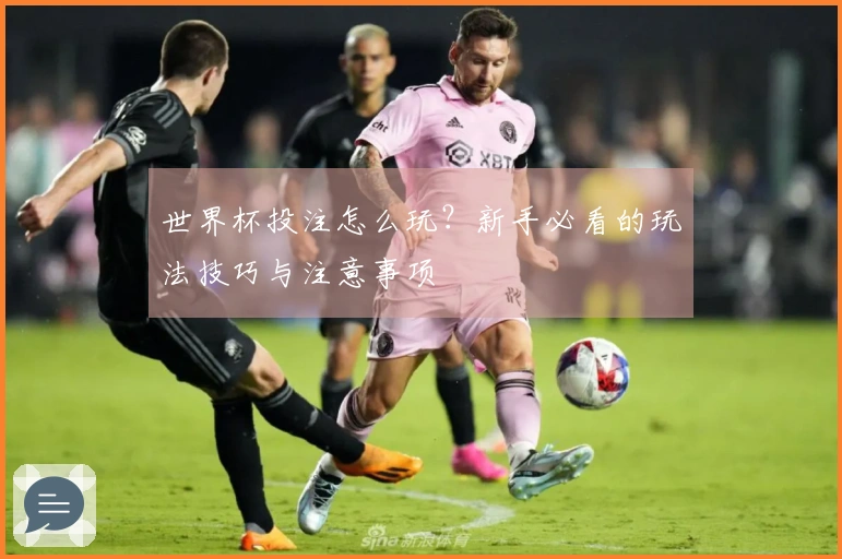 世界杯投注怎么玩？新手必看的玩法技巧与注意事项