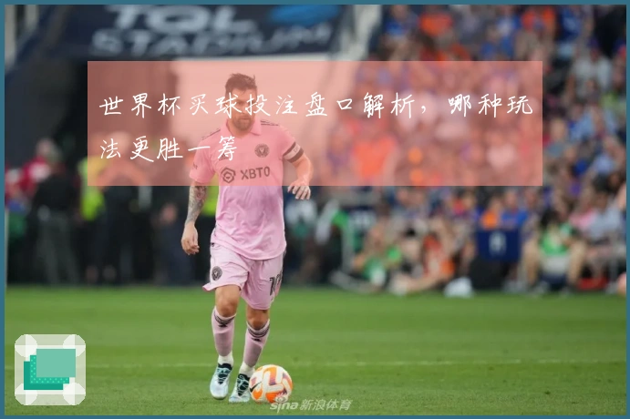 世界杯买球投注盘口解析，哪种玩法更胜一筹