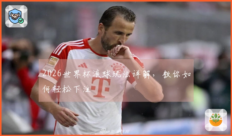 2026世界杯滚球玩法详解，教你如何轻松下注
