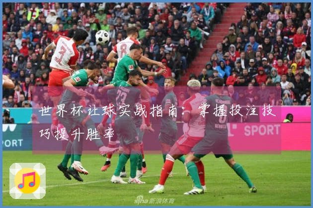 世界杯让球实战指南：掌握投注技巧提升胜率