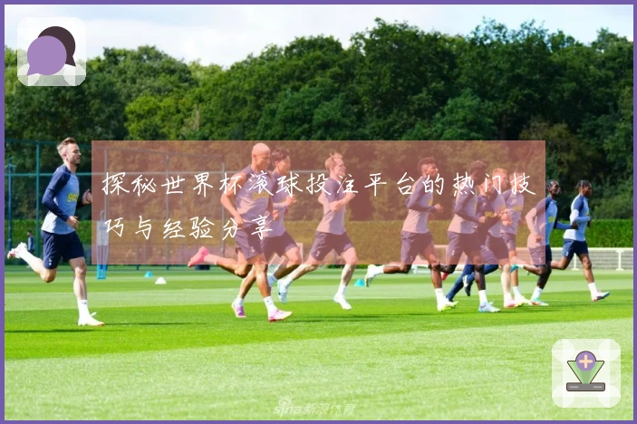 探秘世界杯滚球投注平台的热门技巧与经验分享