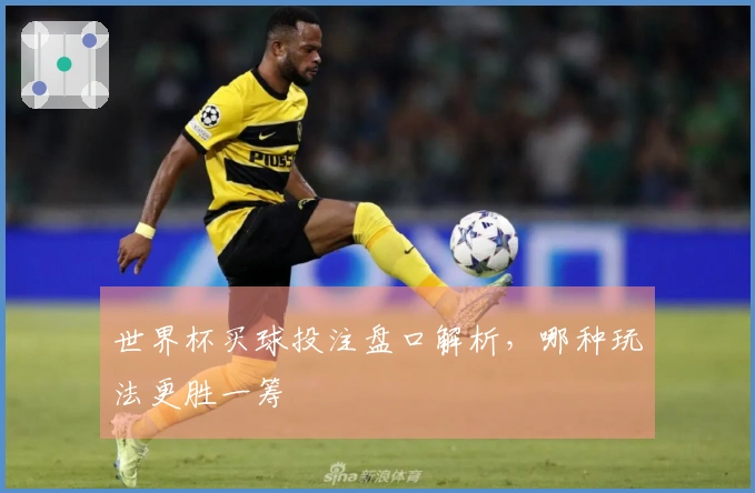 世界杯买球投注盘口解析，哪种玩法更胜一筹