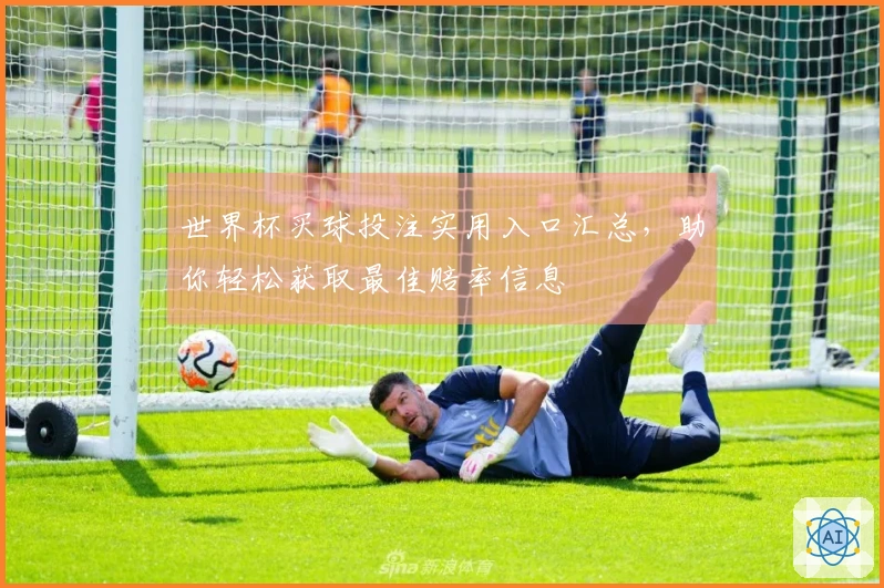 世界杯买球投注实用入口汇总，助你轻松获取最佳赔率信息